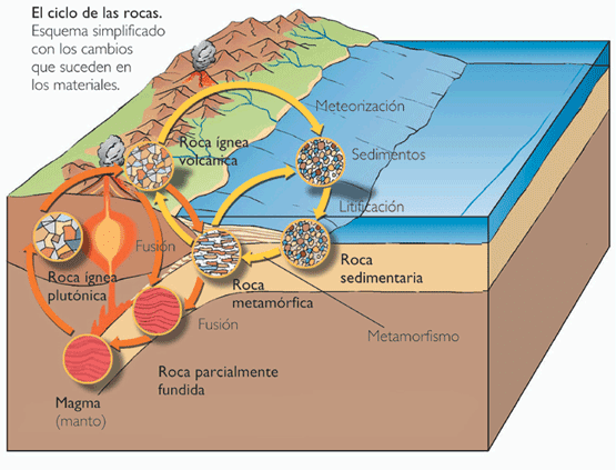 Capas de rocas sedimentarias con fósiles