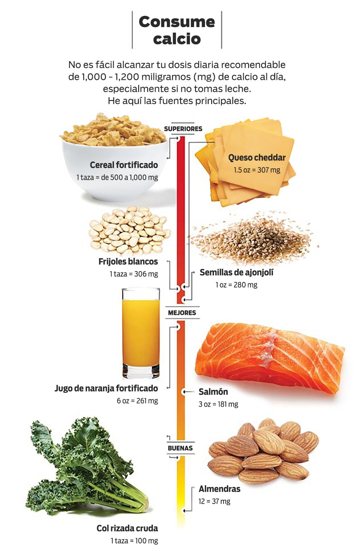 Estructuras óseas saludables gracias al calcio