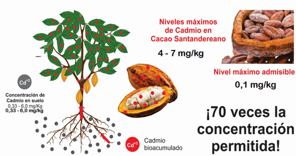 Presencia del cadmio en el medio ambiente