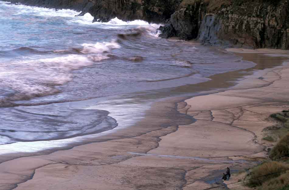 Ecosistema marino contaminado por derrame de petróleo