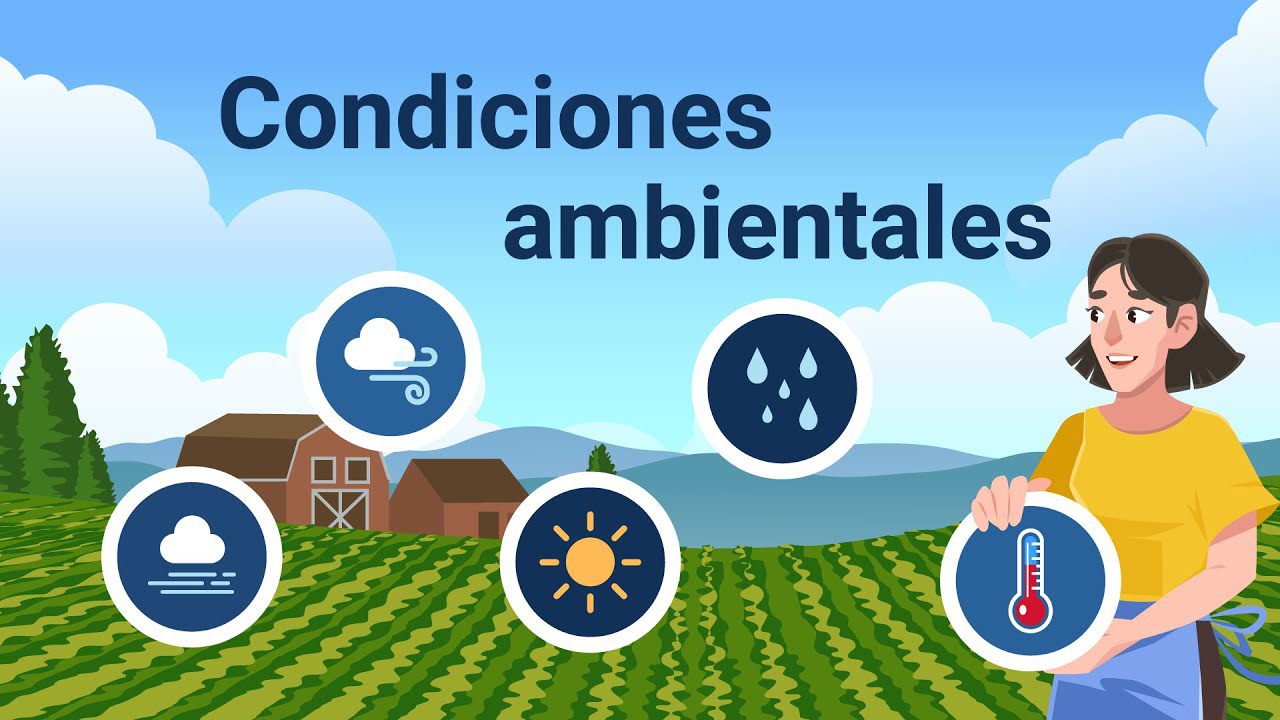 Ajustarse A Las Condiciones O El Ambiente