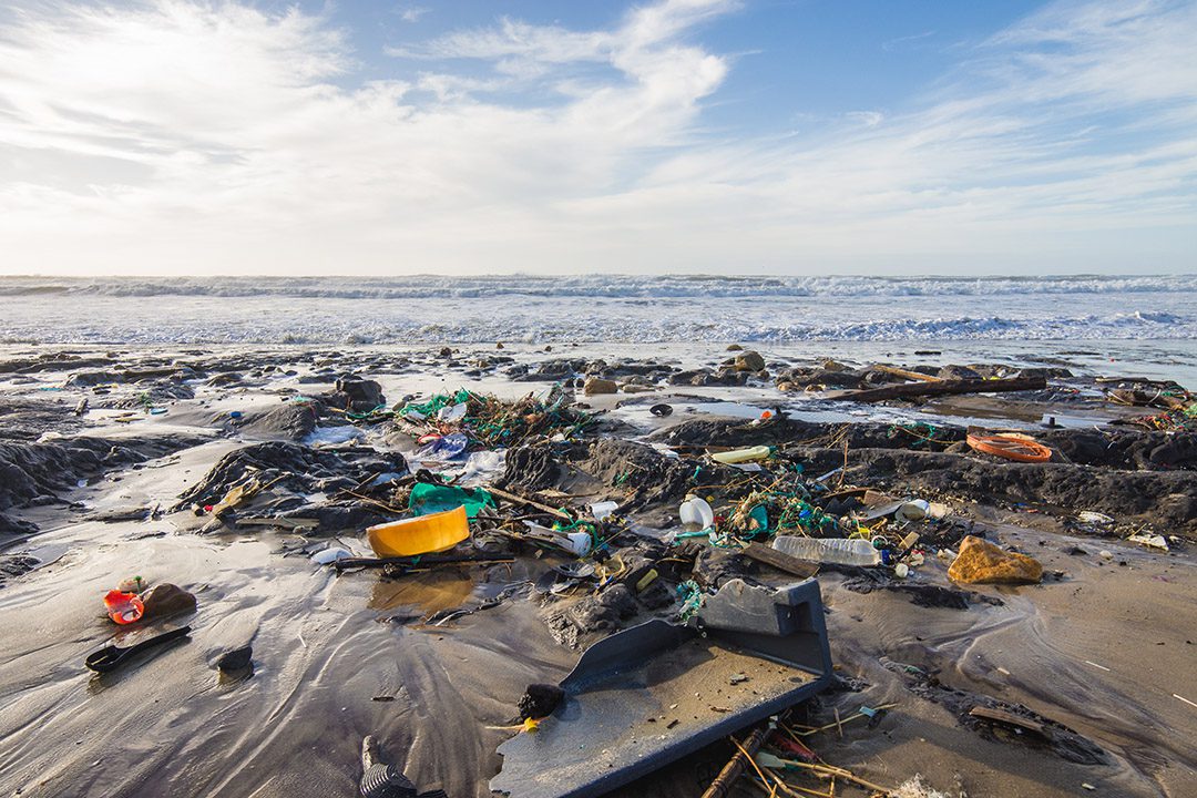 Impacto de la contaminación en los océanos
