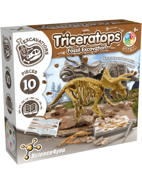 Fósiles de dinosaurios en excavación paleontológica